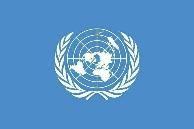 UN warns of total collapse in Gaza food system