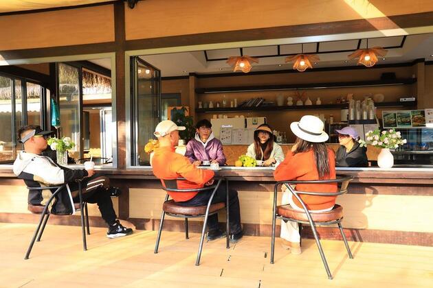 Heartbeat chronicles: travels that left their mark