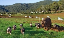 US shows keen interest in Tasmanian agriculture