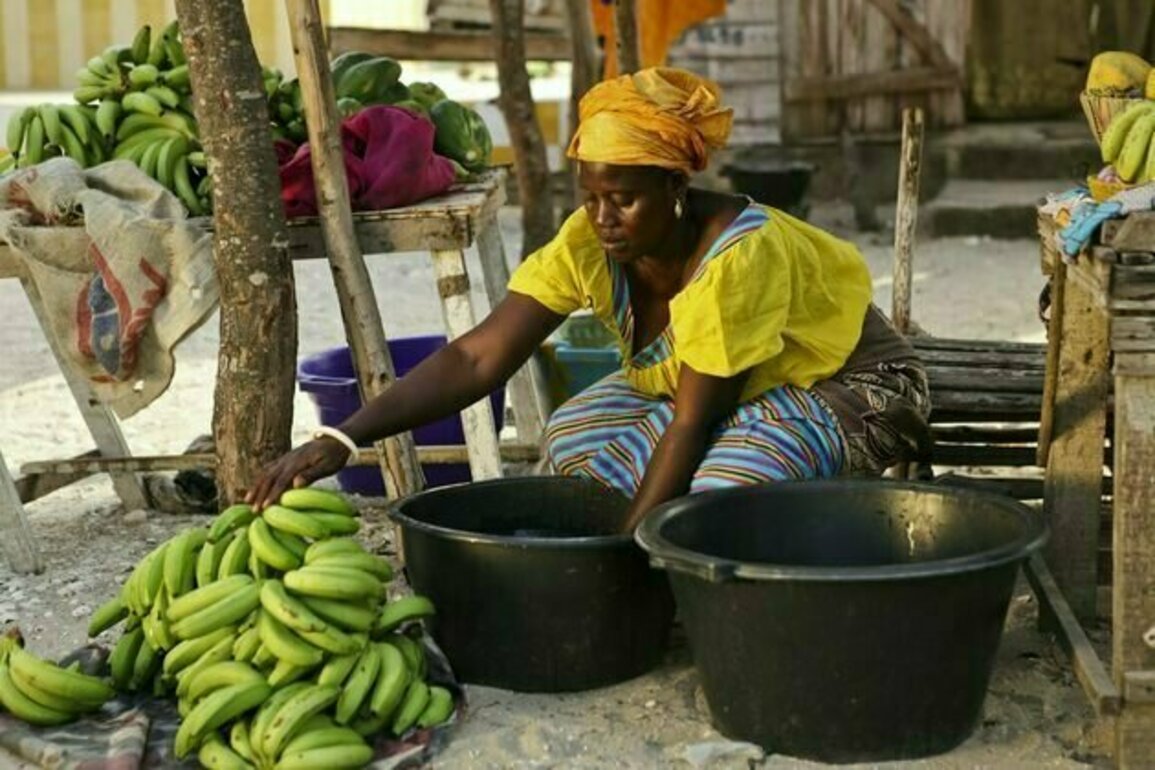 Senegal : le financement participatif, un levier encore peu exploite pour l'entrepreneuriat feminin