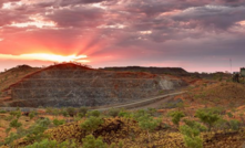 Panoramic's Savannah on track