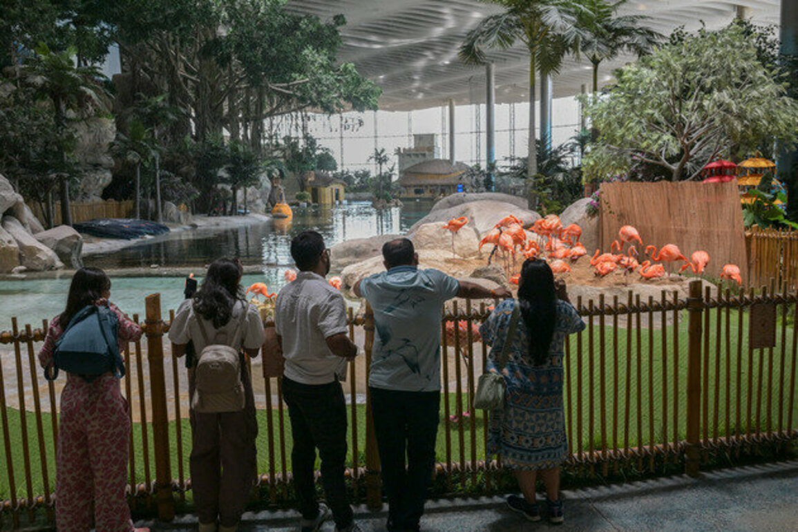 SeaWorld Abu Dhabi enriches marine knowledge, entertainment