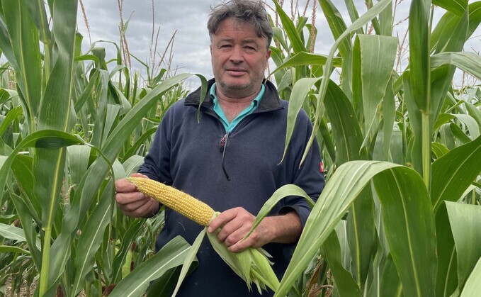 Howard Williams grows 182 hectares of maize on his two farms north of London, for his anaerobic digestion plant and also for forage