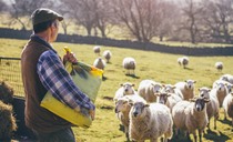 Farmers least likely to sell their businesses