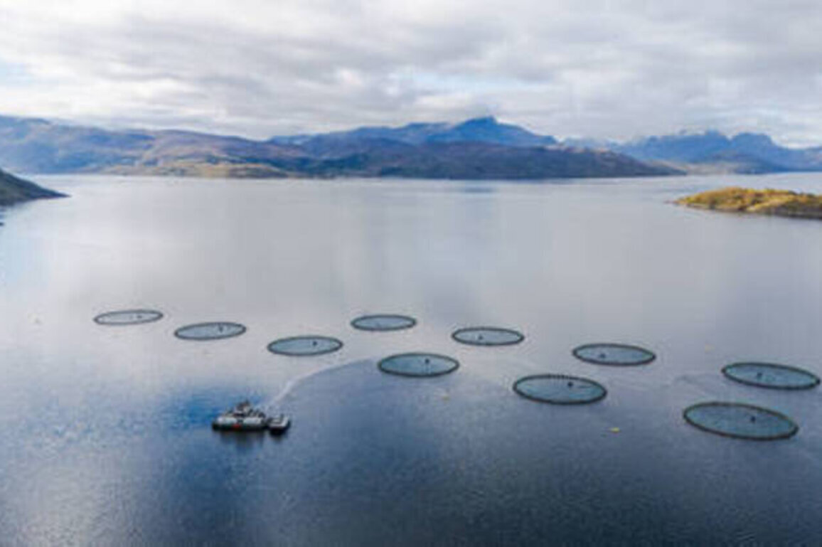 Norway's fish farm waste 'triple the country's sewage' - report