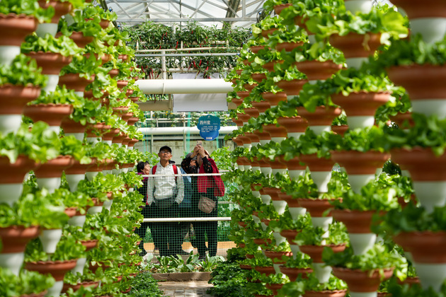(ShandongHorizon) CHINA-SHANDONG-SHOUGUANG-VEGETABLE EXPO (CN)