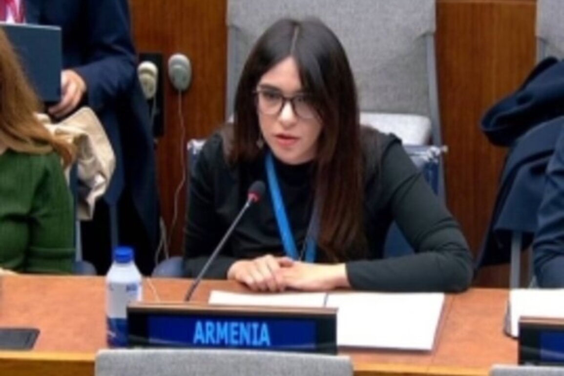Yerevan stresses humanitarian focus of mine action in Syria
