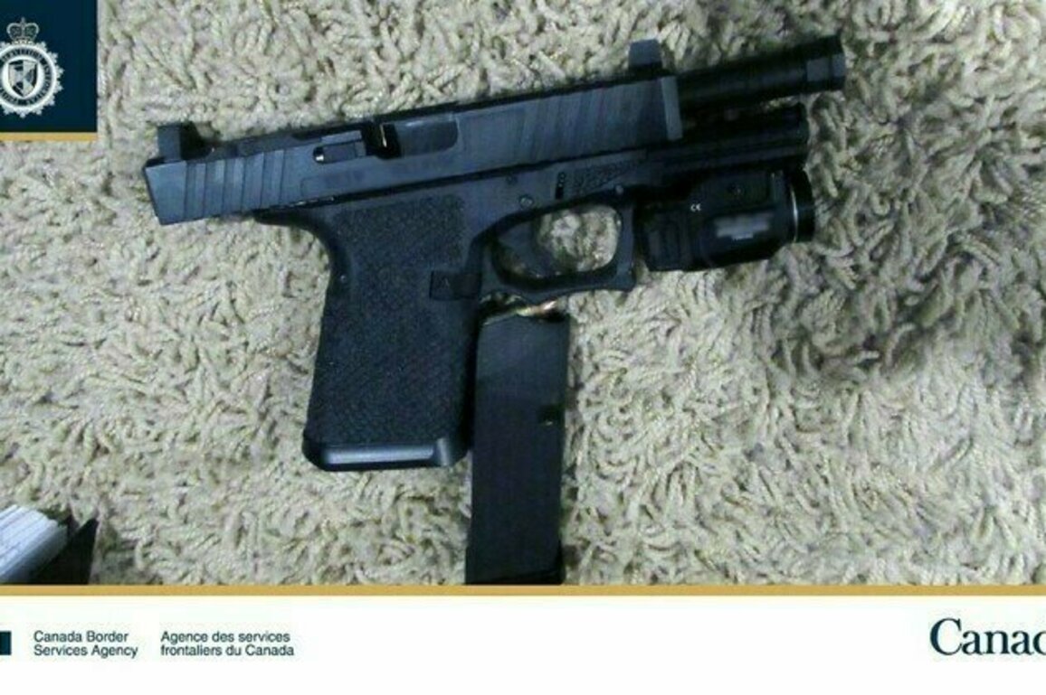 CBSA firearms investigation in Lumby, B.C. leads to two-years of house arrest
