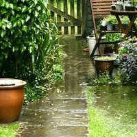 A warm, wet spring means more mozzies. How to protect yourself from the diseases they spread