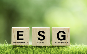 "Ambiguity and individualism" - advisers on rising investor demand for ESG - Vimarsana News