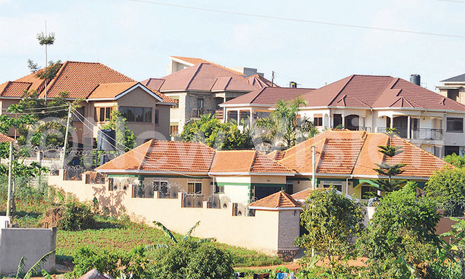 Neighbourhood watch: Bungalows ambush Kiteezi Neighbourhood watch: Bungalows ambush Kiteezi
