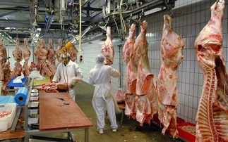 UK's 'fragile' food system exposed by £5bn influx of meat imports in 2025, report reveals