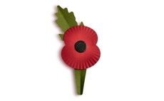 Green poppies: Plastic-free redesign from Royal British Legion cuts carbon emission by 40 per cent