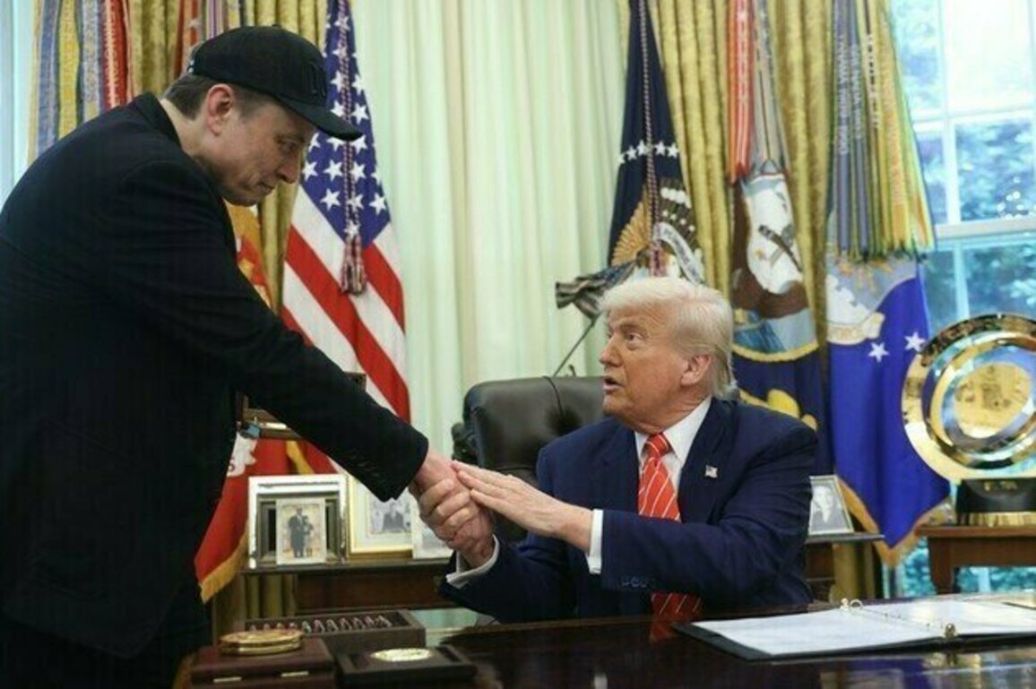 Trump offers olive branch to Musk
