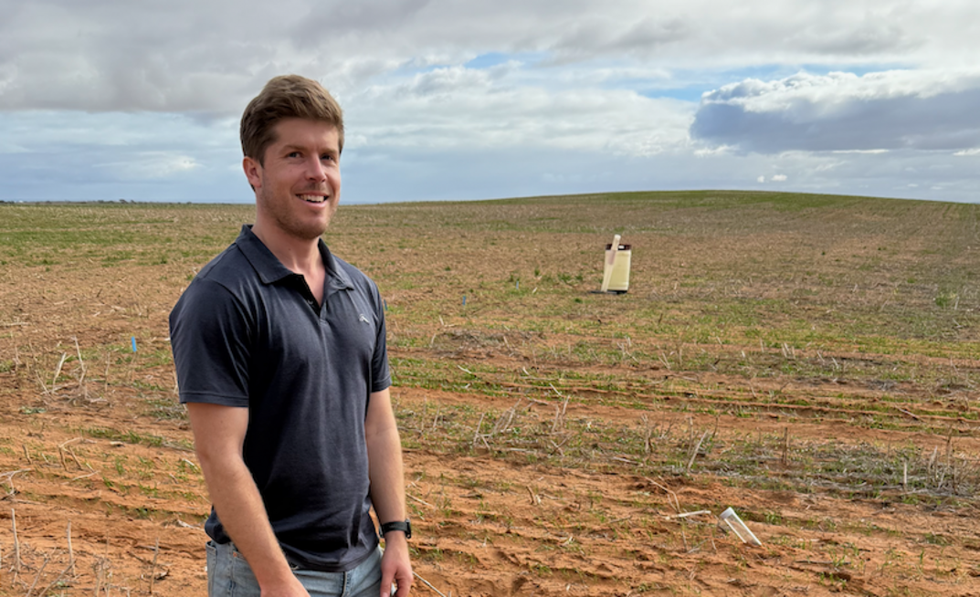 Adelaide University PhD student Stephen Lang is in the final stages of his PhD project, which looked at physical constraints in hardsetting sandy soils and how best to tackle them. 