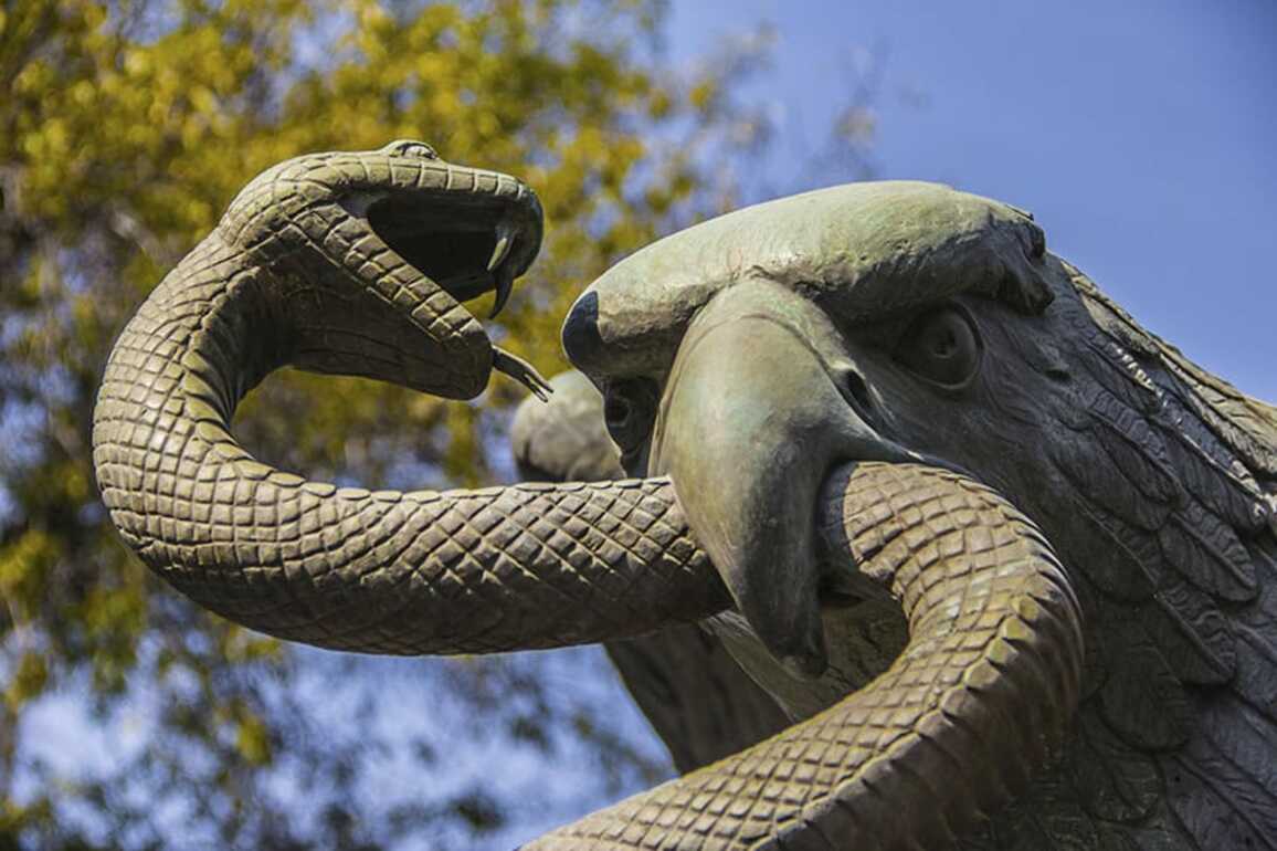 Don't tread on me, Mexican style- A perspective from our CEO