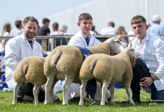 Royal Highland Show: Commercial sheep champions claim supreme title  