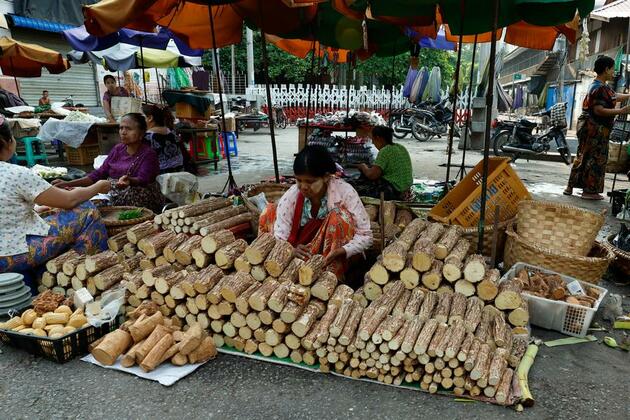 Recovery after Myanmar's devastating earthquake will be long, sustained int'l support needed: IFRC official