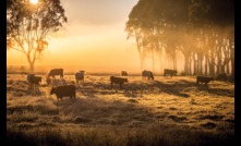  Agriculture is working hard to reduce its greenhouse gas emissions. Photo: Mark Saunders