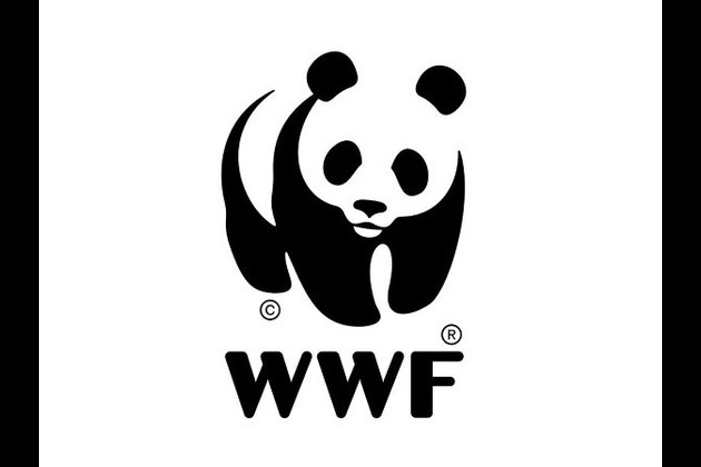India plays crucial role in promoting sustainable production of palm oil: WWF-India report