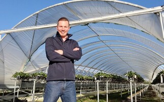 In your field: Dan Hawes - "February is an important month for us in the strawberry propagation world"