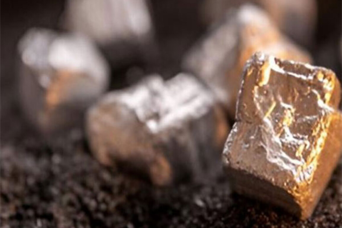 Primus Partners chalks roadmap for India to steer its rare earth strategy