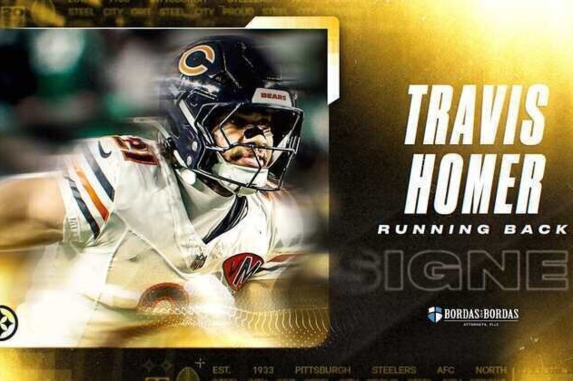 Steelers sign Homer