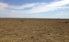  Julia Creek landscape