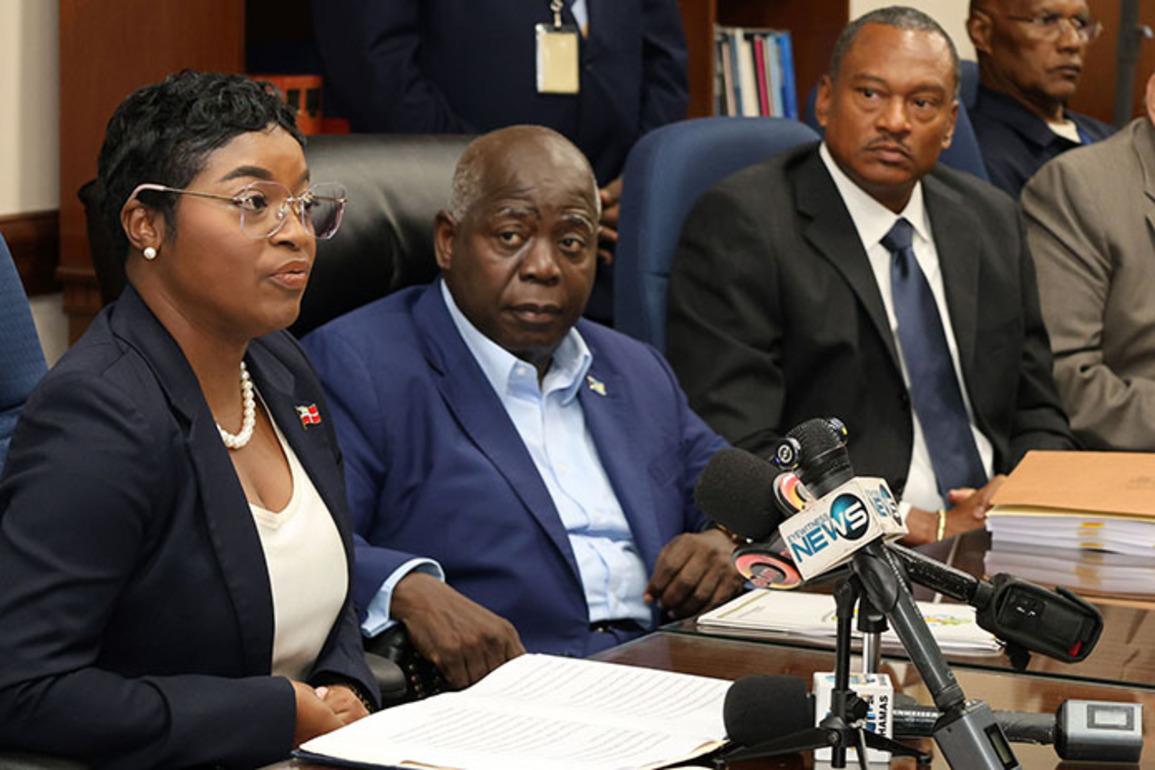 Energy Minister Sheds More Details on the Governments Power Generation Projects