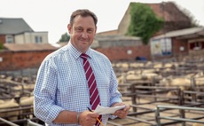 Alastair Brown appointed new strategy and policy officer at LAA 