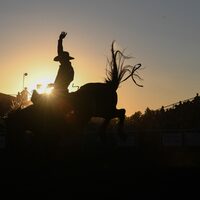 Oakley puts finishing touches on 90th rodeo - Park Record