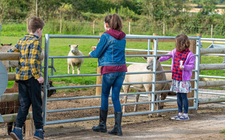 �������� offered chance to educate the consumers of tomorrow