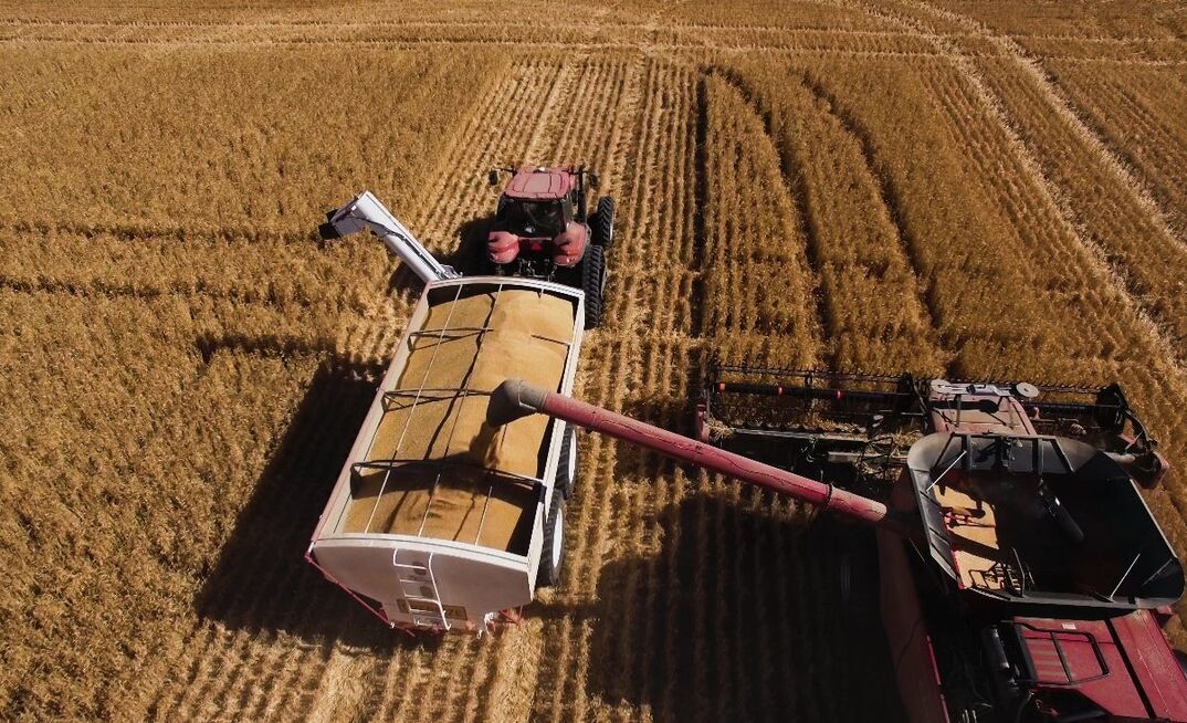 ABARES predicts farm profits will drop significantly in 2026-27.
