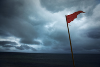The hidden red flags hindering wealth management platforms