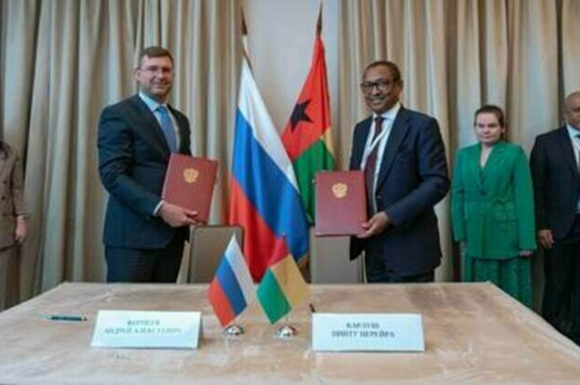 Russia and Guinea-Bissau cooperating in education