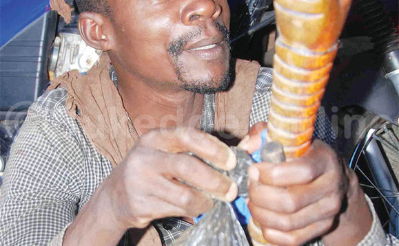 Kimbugwe eyakwatiddwa mu bubbi buno n'akkiriza. Kimbugwe eyakwatiddwa mu bubbi buno n'akkiriza.