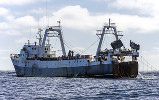 Marine Protected Areas: Government rejects calls for 'outright ban' on bottom trawler fishing