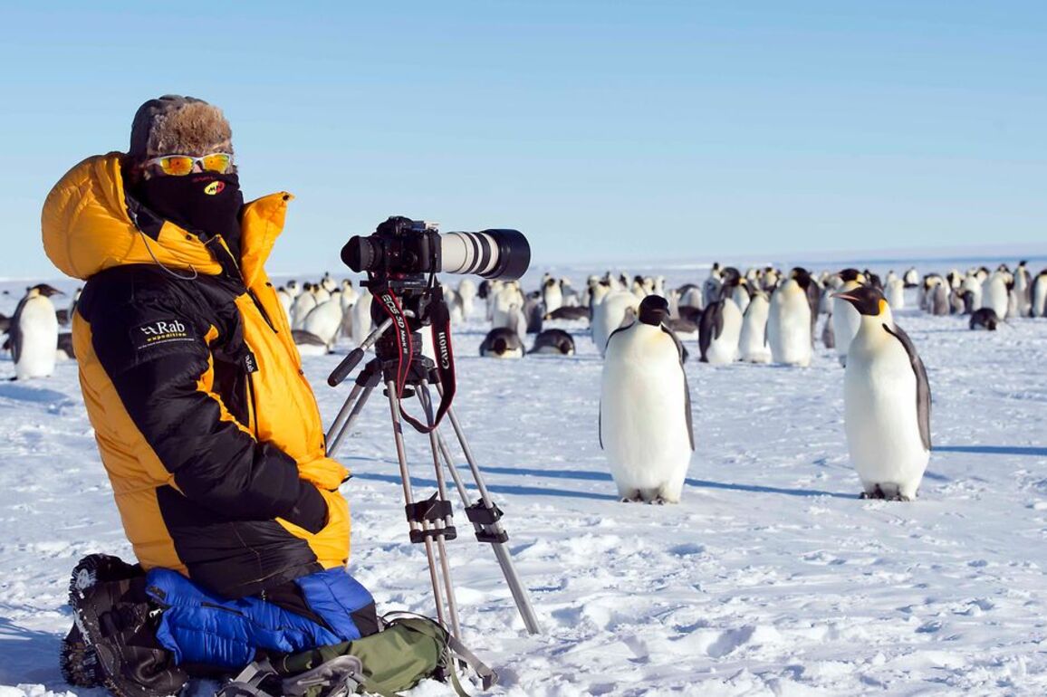 Sir David Attenborough's Scots cameraman backs groundbreaking 'ecocide' law