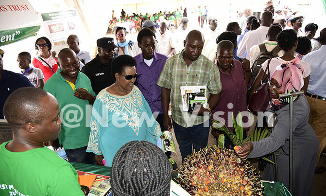 As it happened: Harvest Money Expo 2018 final day As it happened: Harvest Money Expo 2018 final day