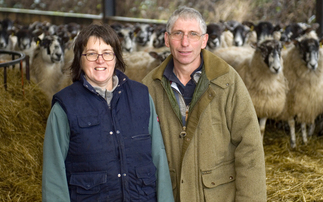 Sheep special: Sheep project helps focus on lameness