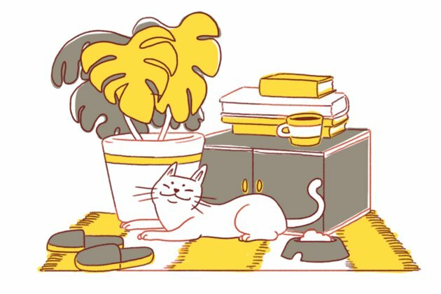 What does the typical Russian home look like