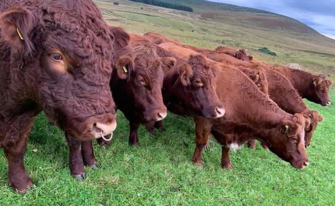 ROYAL HIGHLAND SHOW PREVIEW: Charcuterie opens up opportunities for family farm