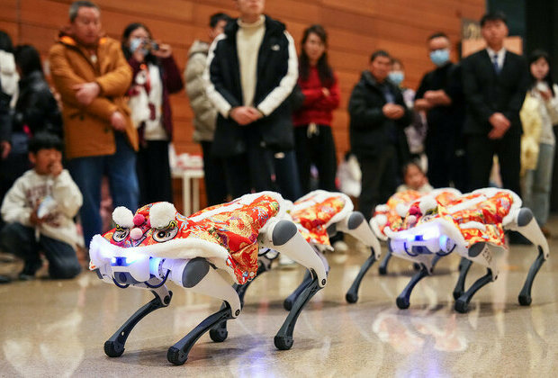 Robot dogs join Spring Festival fun as mini 'lion dancers'