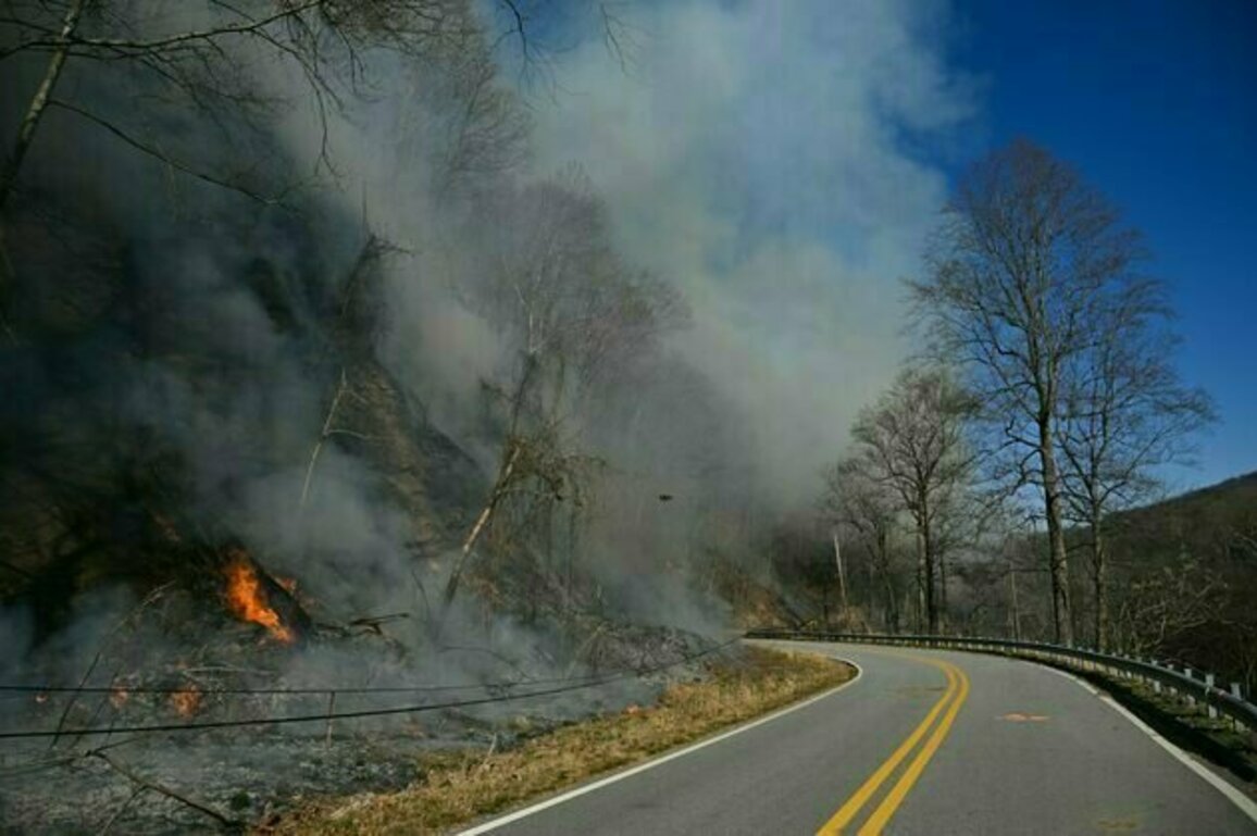 Carolina wildfires followed months of weather whiplash, from drought to hurricane-fueled floods and back to drought