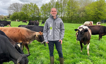 Antibiotic use down and conception rates up – what bolus monitoring did for one Cheshire dairy herd