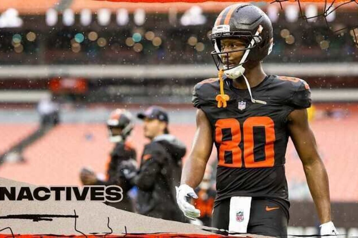 Browns announce inactives for Week 14 vs. the Titans