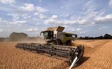 Partner Insight: Why growers are reassessing their feed wheat choices