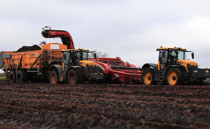 User review: Dezeure's reverse tip trailers aid beetroot lifting logistics