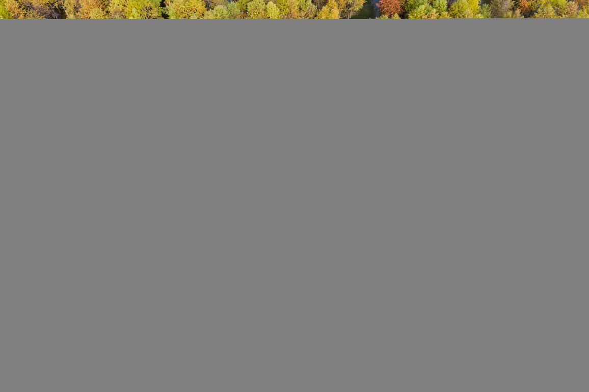 CHINA-EARLY WINTER-SCENERY (CN)