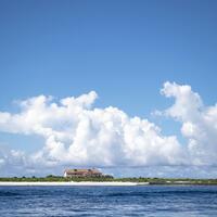 In South China Sea, a marine researcher finds depth of life in shallows